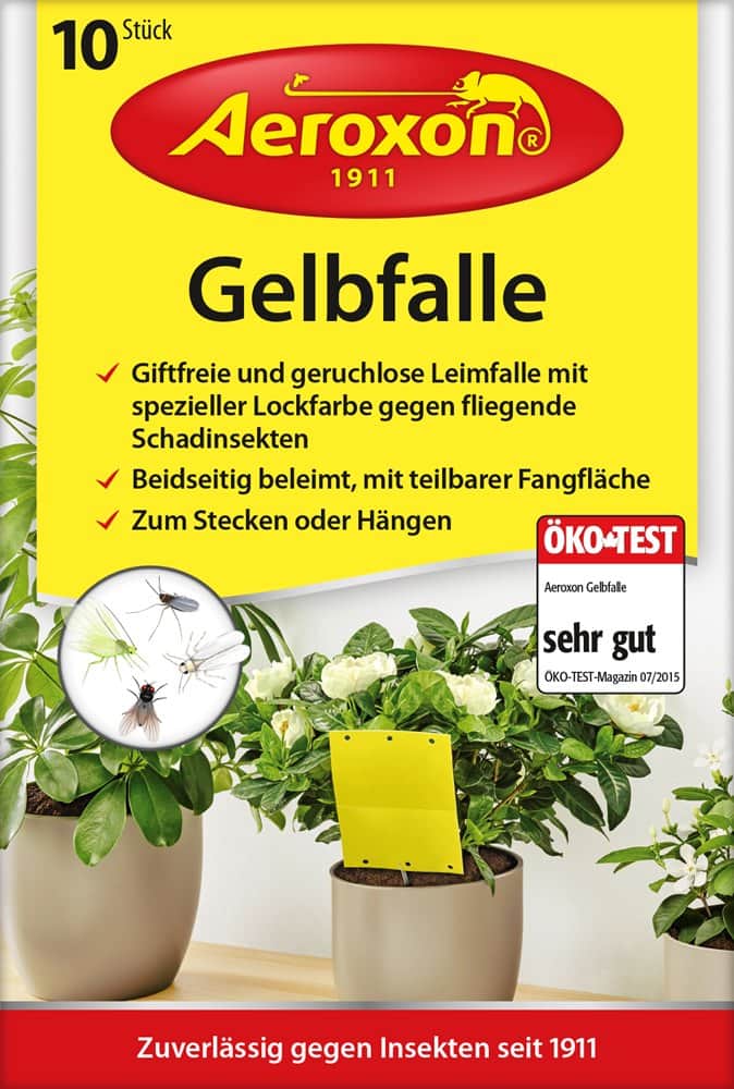 10 י"ח מדבקה ללכידת חרקים בעציצים. מיוצר בגרמניה