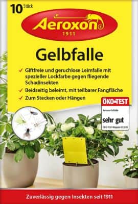 10 י"ח מדבקה ללכידת חרקים בעציצים. מיוצר בגרמניה